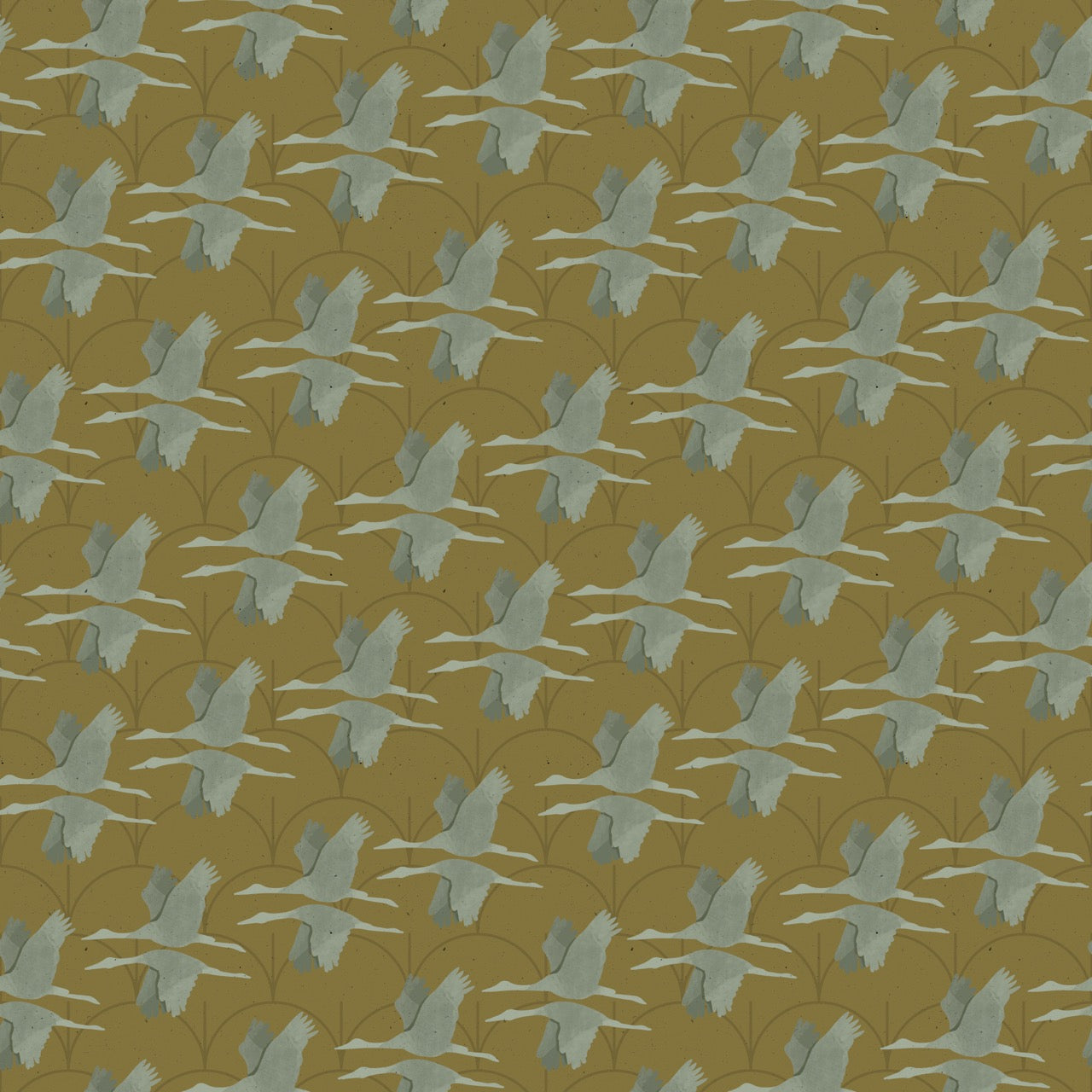 Crane Migration Pattern