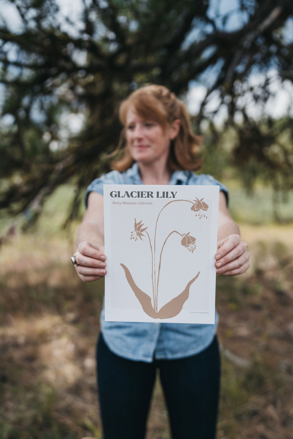 glacier lily art print