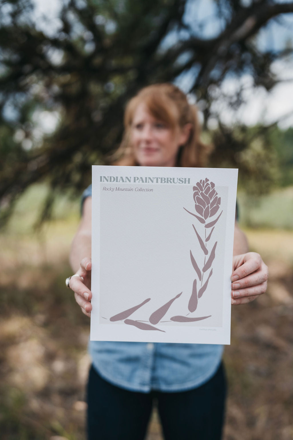 indian paintbrush art print