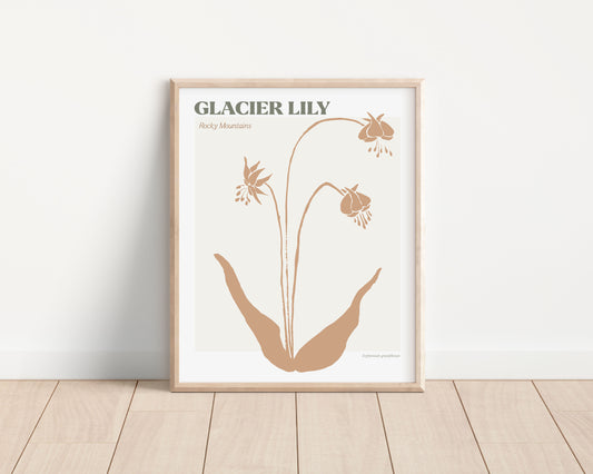 glacier lily art print