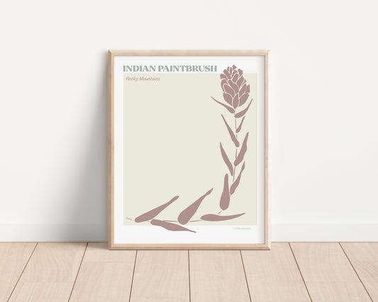 indian paintbrush art print