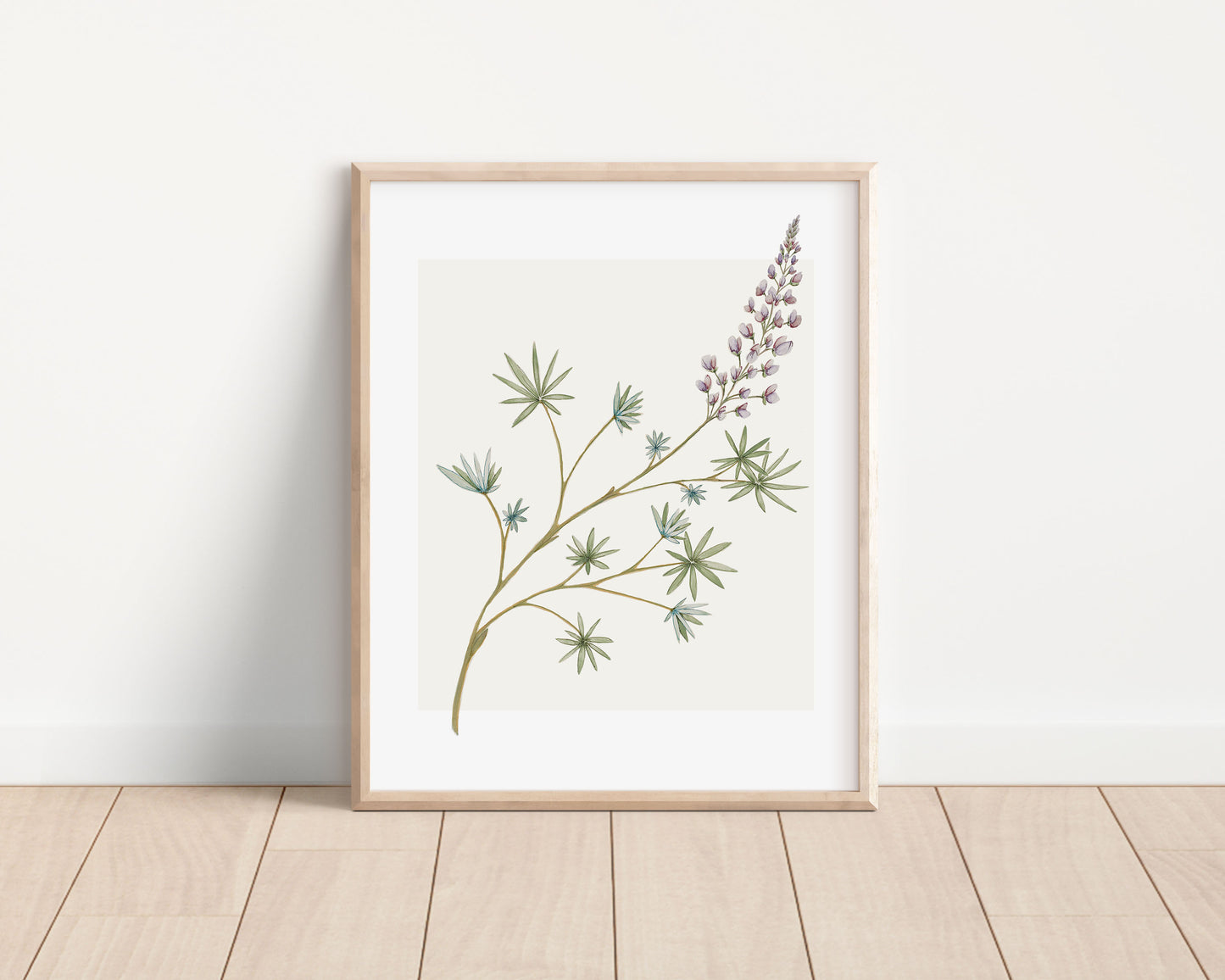 lupine watercolor fine art print