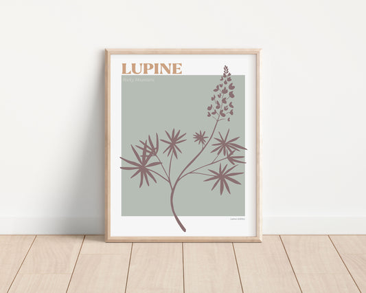 lupine art print